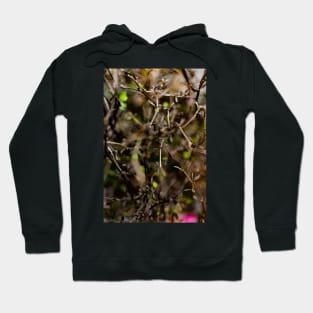 Twigs Hoodie